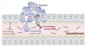 dna circulating_tumor_cells